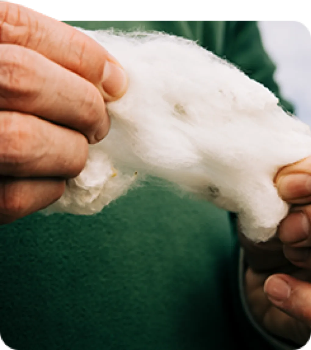 A pair of hands stretches out a piece of cotton