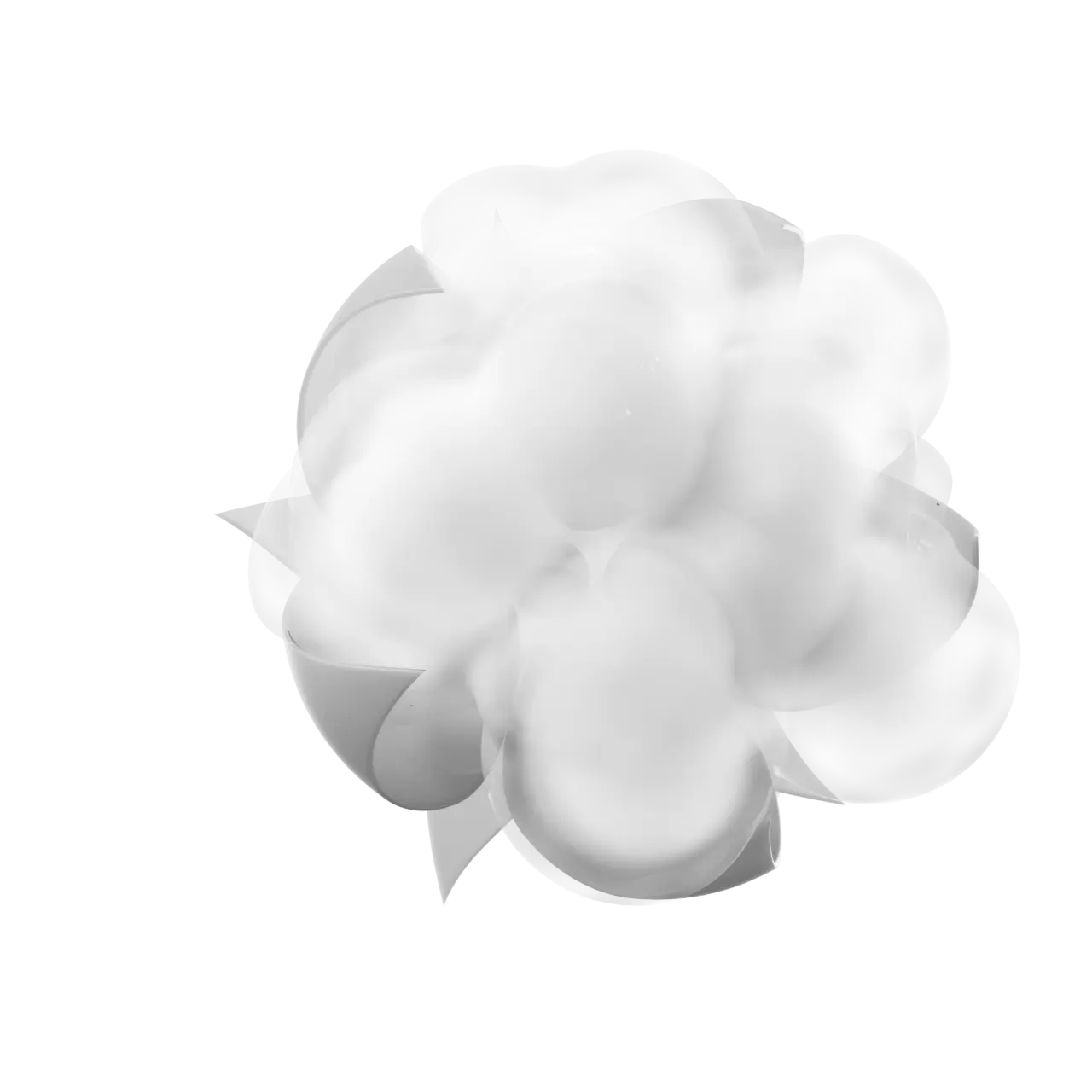 The top of a cotton plant rotates 360 degrees